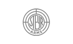 Steyr-Gun-Page