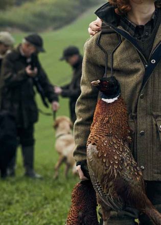 Game Shooting & Dog Training